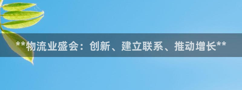 28圈注册号：**物流业盛会：创新、