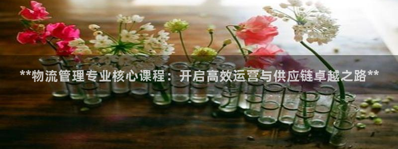 28圈app能退款吗