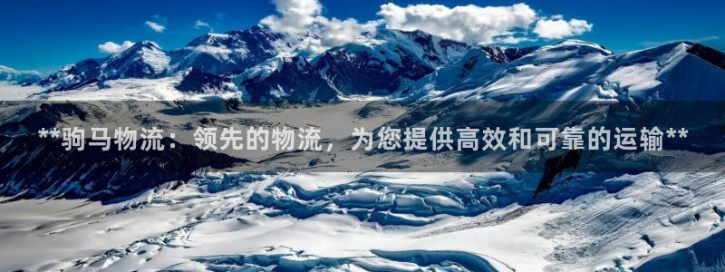 28圈官网多少：**驹马物流：领先的