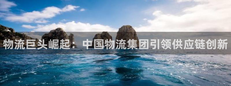 28圈官方网站：物流巨头崛起：中国物