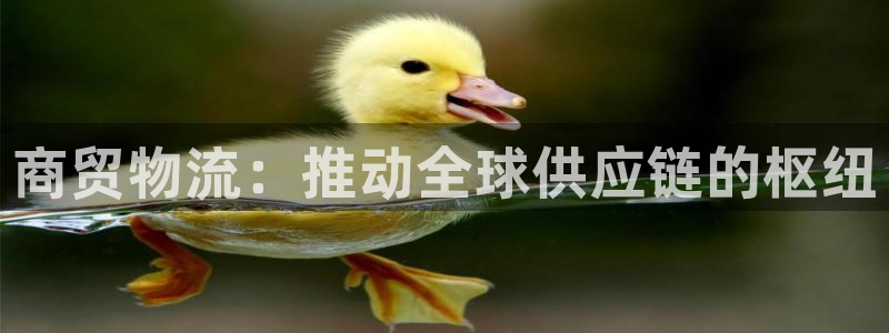 28圈模拟：商贸物流：推动全球供应链
