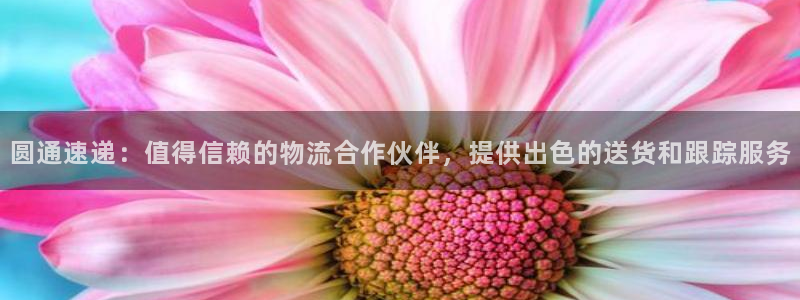 28圈农业银行是狗卡吗