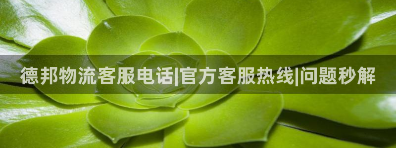 28圈推广链接是多少个