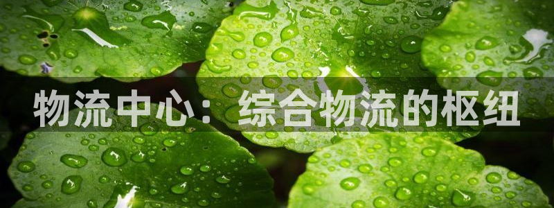28圈app怎么注销