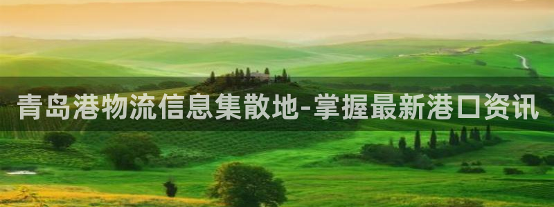 28圈官方官网版：青岛港物流信息集散