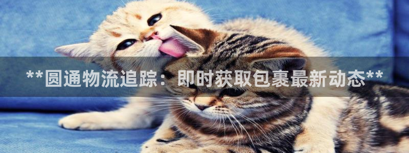 28圈娱乐官网网页入口：**圆通物流