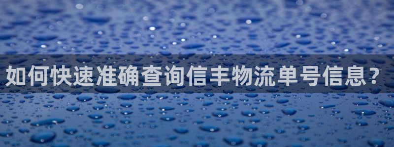 28圈官方平台