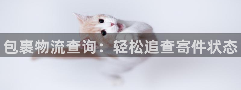 28圈预测网