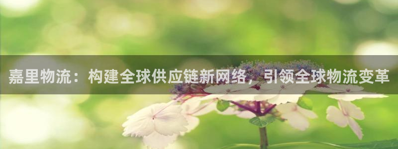 28圈黑钱：嘉里物流：构建全球供应链