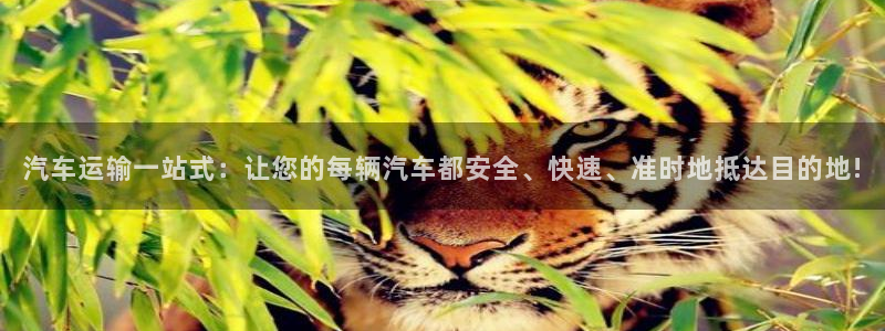 28圈