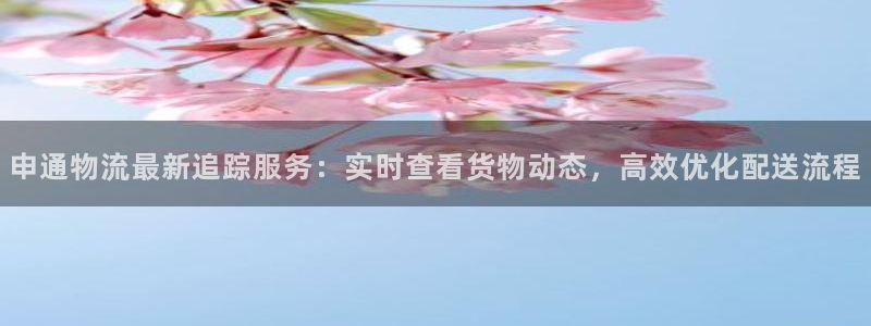 28圈现在狂杀