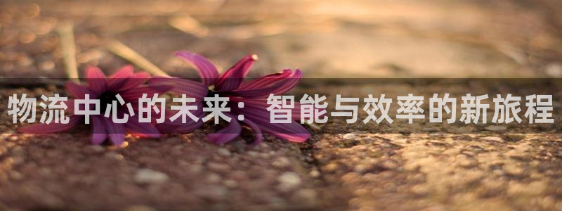 28圈官方网站预测：物流中心的未来：智能与效率的新旅程
