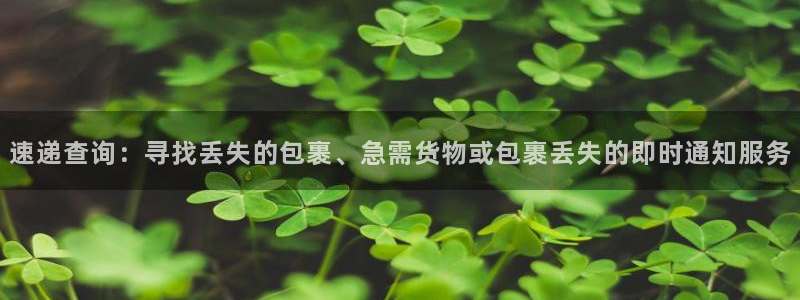 南宫28圈官网版