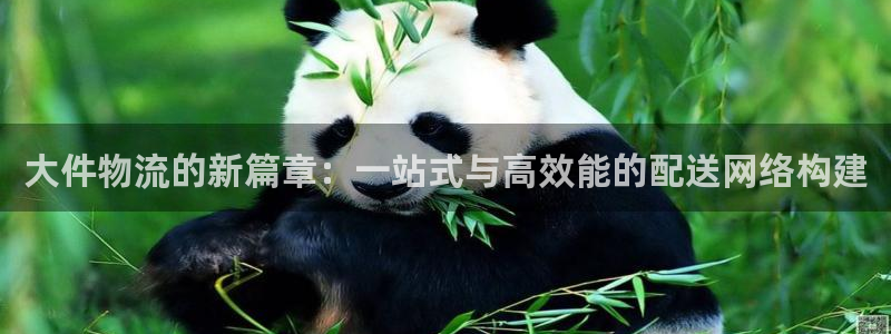 28圈注册登录流程：大件物流的新篇章：一站式与高效能的配送网