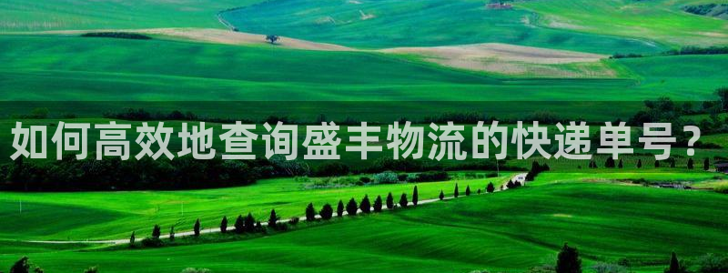 28圈开奖预测