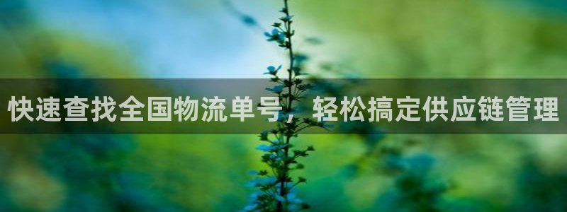 28圈下分了不给钱：快速查找全国物流
