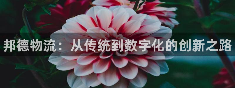 28圈充值金额随便：邦德物流：从传统到数字化的创新之路