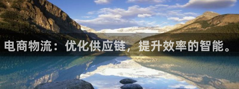 28圈电子：电商物流：优化供应链，提