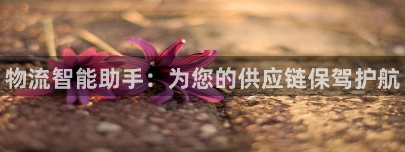 28圈技巧：物流智能助手：为您的供应