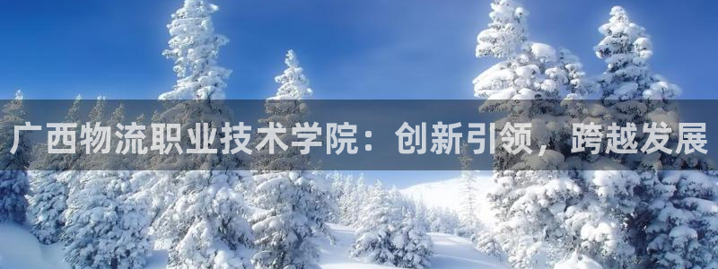 28圈加拿大怎么玩