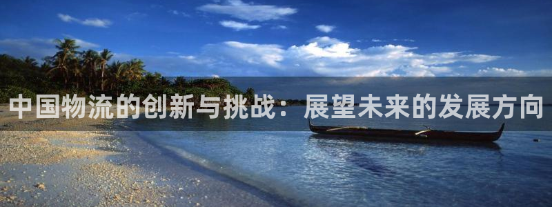 28圈不给提现：中国物流的创新与挑战：展望未来的发展方向
