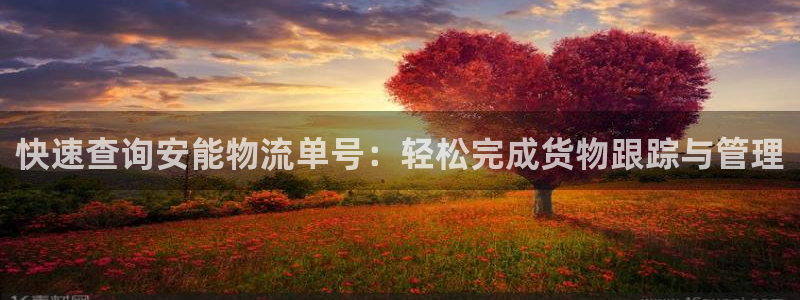 28圈怎么注册游戏名字：快速查询安能