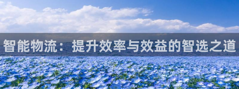 28圈网站平台：智能物流：提升效率与