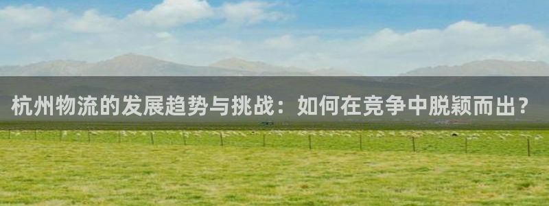 28圈充值不到账什么原因：杭州物流的