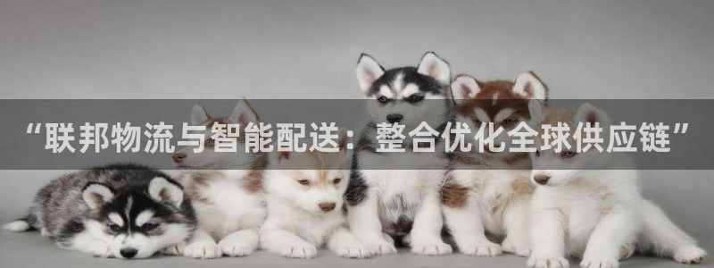28圈注册网页版：“联邦物流与智能配