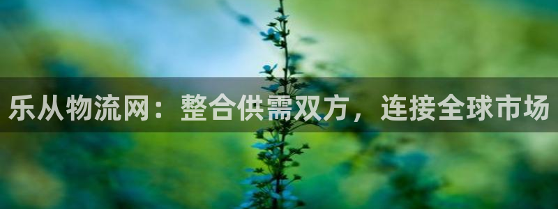 28圈系统自动保护