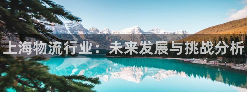 28圈开奖预测