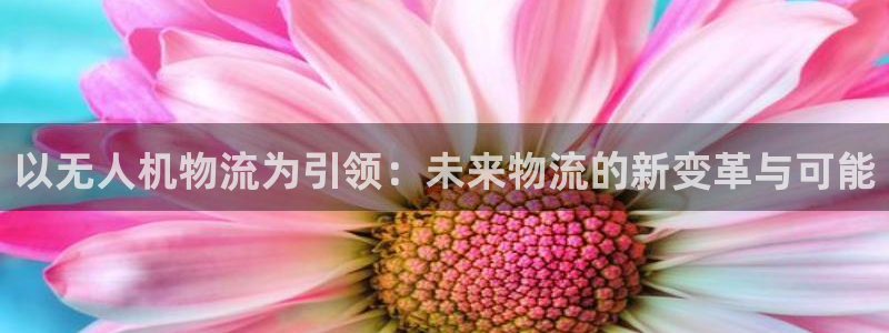 28圈充值金额随便