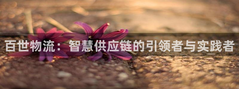28圈电子：百世物流：智慧供应链的引