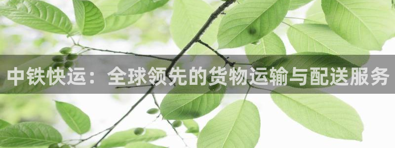 28圈怎么注册：中铁快运：全球领先的