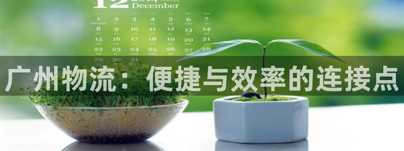 28圈注册号：广州物流：便捷与效率的