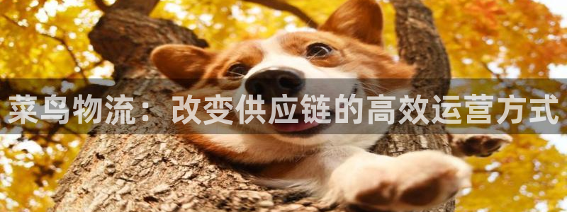 28圈充值不处理怎么办