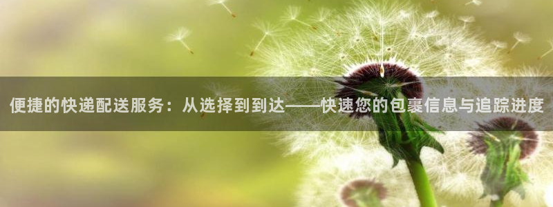 28圈官网注册：便捷的快递配送服务：从选择到到达——快速您的