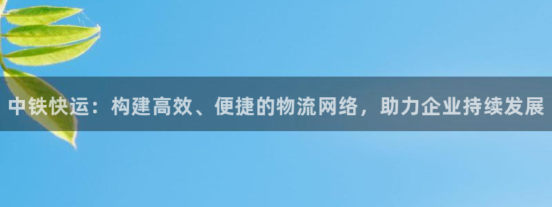 28圈软件总是闪退怎么回事：中铁快运