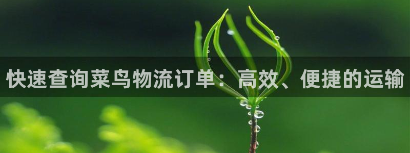 28圈加拿大怎么玩：快速查询菜鸟物流