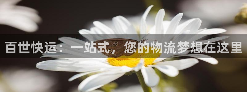 28圈加拿大真假怎么看：百世快运：一站式，您的物流梦想在这里