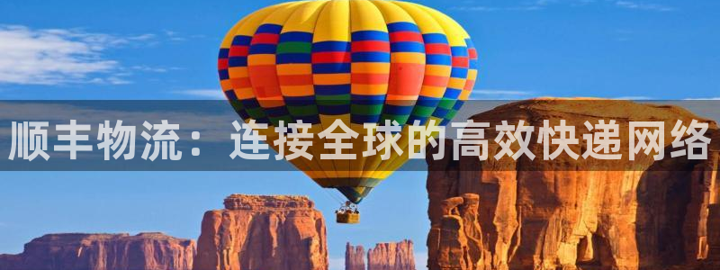 28圈辅助：顺丰物流：连接全球的高效