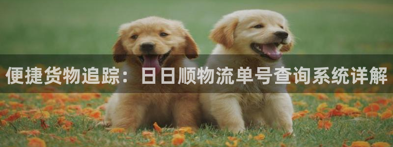 加拿大28圈是什么