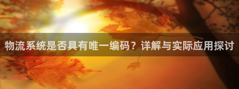 28圈为什么打不开