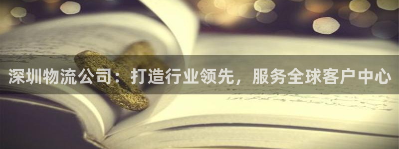 28圈注册条件：深圳物流公司：打造行