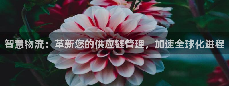 28圈官网网站