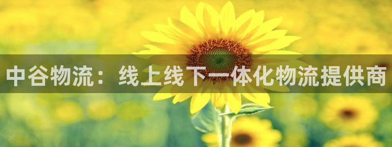 28圈预测：中谷物流：线上线下一体化