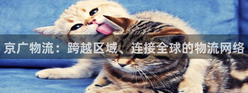 28圈模拟器在线使用：京广物流：跨越