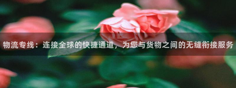 28圈推广链接是多少