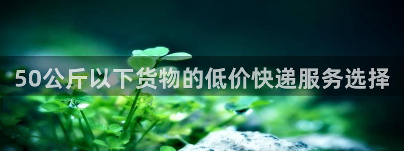 28圈人头费