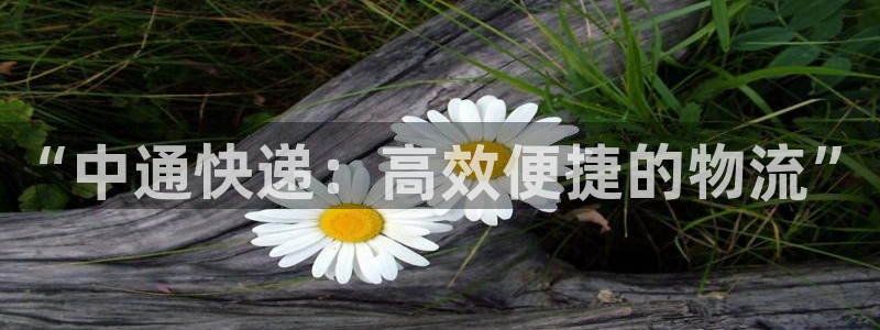 28圈绿骨头